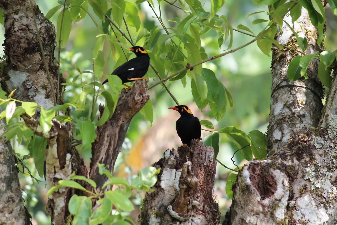 Eagle Mountain Munnar Bed & Breakfast